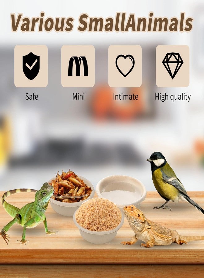 BUWUSMU 400 قطعة أكواب ورقية سعة 1 أونصة، أكواب طعام وماء للوزغات الصغيرة والسحالي والعناكب والزواحف - ملحقات رف أطباق التغذية للحيوانات الأليفة - Image 4
